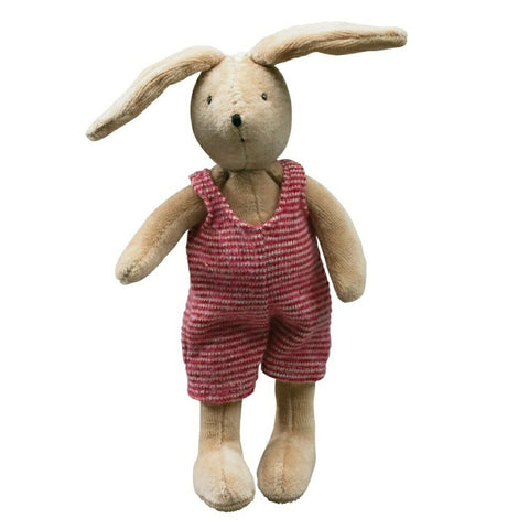 Tiny Sylvain the rabbit - La grande Famille