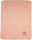 Pink Teddy Blanket