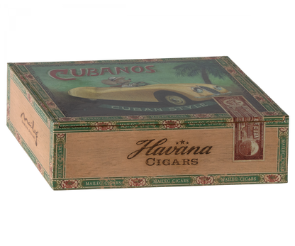 Grandma and Grandpa mice in cigarbox