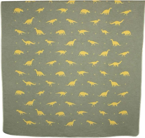 Large Dinosaur Blanket