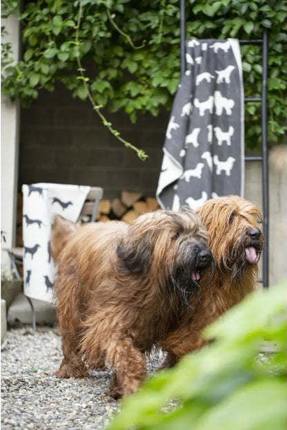 Large Pet Blanket