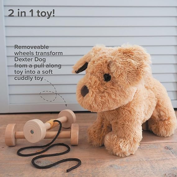 Dexter pull along toy