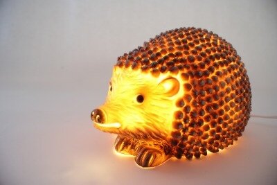 Hedgehog Night light