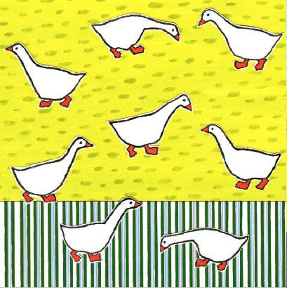 Blank - Ducks