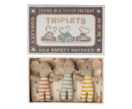 Baby mice, Triplets in a matchbox