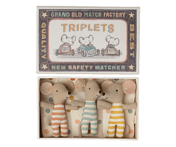 Baby mice, Triplets in a matchbox