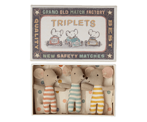 Baby mice, Triplets in a matchbox